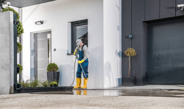 Best Gutter Cleaning  in Ashland, IL